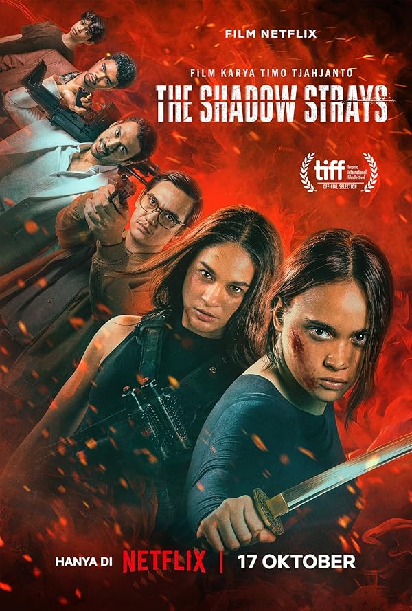فیلم The Shadow Strays 2024 | ولگردهای سایه