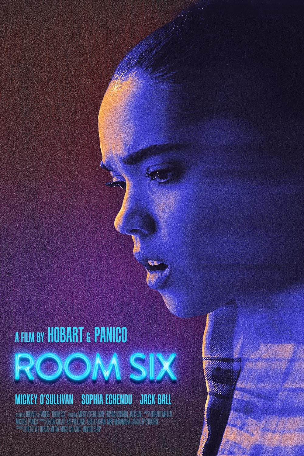 فیلم Room Six 2024 | اتاق شش